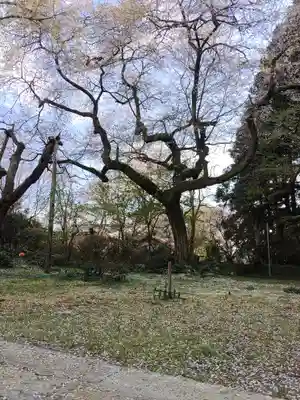 光丸山 法輪寺(栃木県)