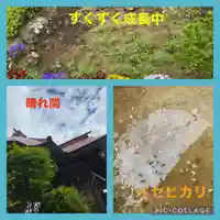 大鏑神社の自然