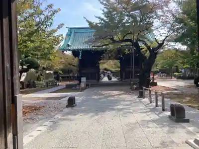 祐天寺(東京都)