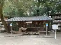 賀茂御祖神社(下鴨神社)(京都府)