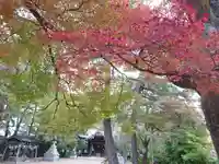 三嶋神社の自然