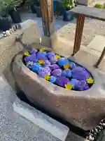 水堂須佐男神社の手水舎