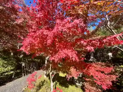 常樂寺(滋賀県)