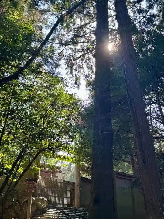 伊勢神宮内宮(皇大神宮)の{uncategorized: "未分類", other: "その他", undefined: "問題あり", building: "その他建物", grave: "お墓", sacred_gate: "鳥居", guardian: "狛犬", statue: "像", buddha: "仏像", history: "歴史", nature: "自然", garden: "庭園", animal: "動物", pagoda: "塔", temizu: "手水舎", mountain_gate: "山門・神門", sanctuary: "本殿・本堂", subordinate: "末社・摂社", art: "芸術", scenery: "景色", jizo: "地蔵", ema: "絵馬", goshuin: "御朱印", omikuji: "おみくじ", items: "授与品その他", amulet: "お守り", goshuincho: "御朱印帳", eats: "食事", festival: "お祭り", votive_dance: "神楽", shichigosan: "七五三参", wedding: "結婚式", experience: "体験その他", initially: "初詣", around: "周辺", anti_infection: "感染症対策"}