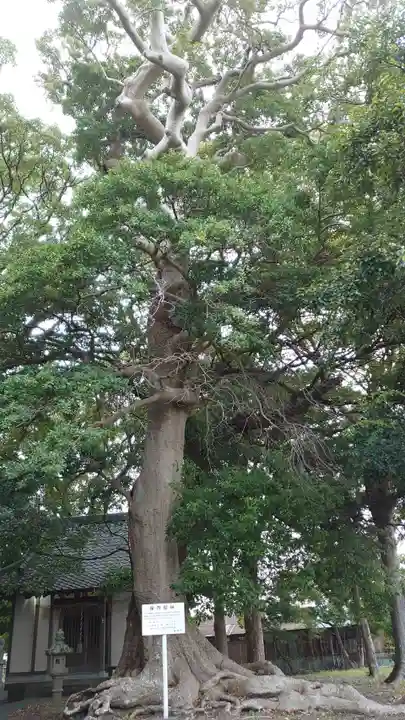 高松宮竹神社(静岡県)