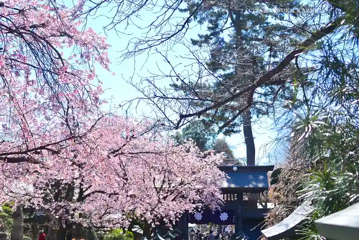 密藏院(埼玉県)