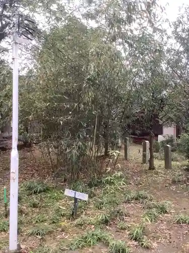 籠守勝手神社の庭園