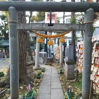 高円寺氷川神社の鳥居