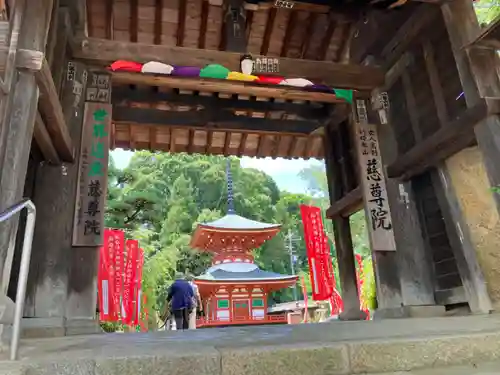 慈尊院(和歌山県)