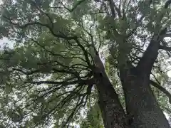 冠稲荷神社(群馬県)