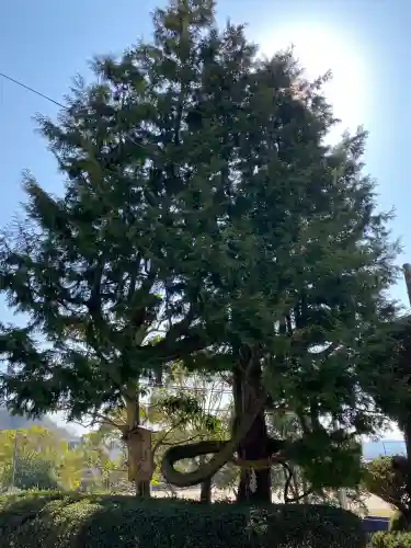 辰尾神社の{uncategorized: "未分類", other: "その他", undefined: "問題あり", building: "その他建物", grave: "お墓", sacred_gate: "鳥居", guardian: "狛犬", statue: "像", buddha: "仏像", history: "歴史", nature: "自然", garden: "庭園", animal: "動物", pagoda: "塔", temizu: "手水舎", mountain_gate: "山門・神門", sanctuary: "本殿・本堂", subordinate: "末社・摂社", art: "芸術", scenery: "景色", jizo: "地蔵", ema: "絵馬", goshuin: "御朱印", omikuji: "おみくじ", items: "授与品その他", amulet: "お守り", goshuincho: "御朱印帳", eats: "食事", festival: "お祭り", votive_dance: "神楽", shichigosan: "七五三参", wedding: "結婚式", experience: "体験その他", initially: "初詣", around: "周辺", anti_infection: "感染症対策"}