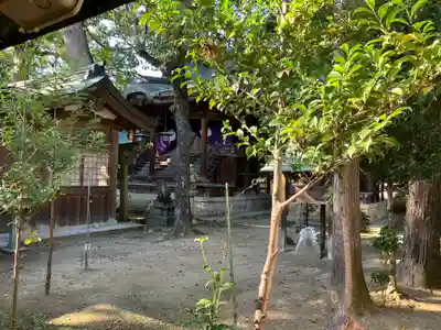 櫻井神社の本殿・本堂