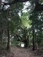 鹿島神社の周辺