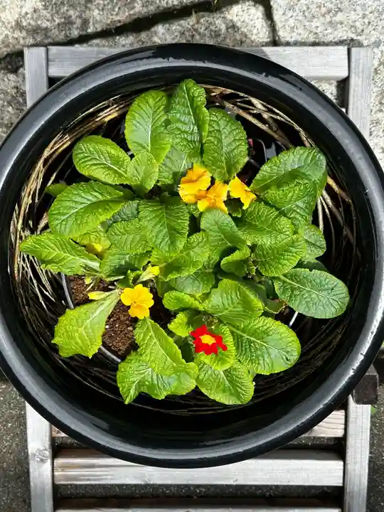 徳島眉山天神社(徳島県)