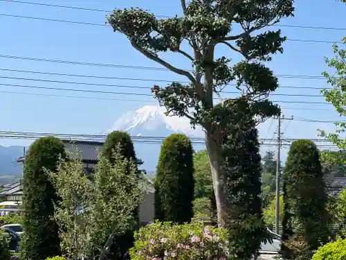 光明寺(静岡県)