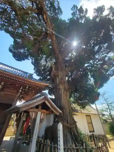 大宮八幡神社(愛媛県)