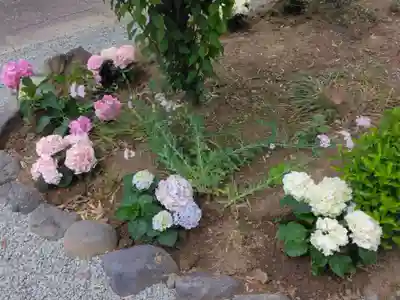 妙法寺(神奈川県)