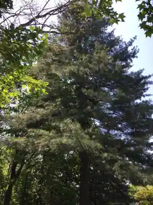 砂川神社(北海道)