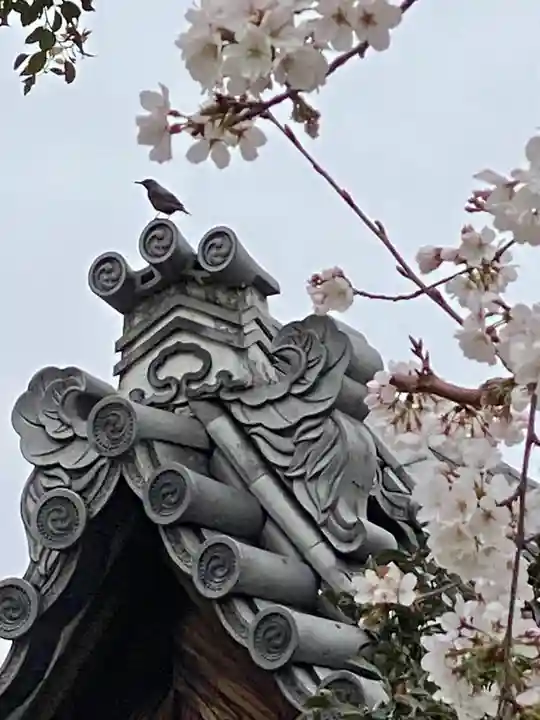 實相寺(実相寺) (京都府)