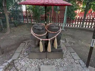 浅草神社の狛犬