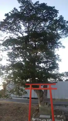 稲荷神社の鳥居