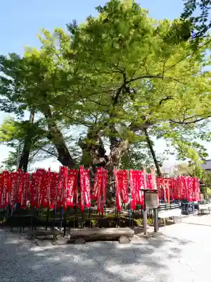 秩父今宮神社の{uncategorized: "未分類", other: "その他", undefined: "問題あり", building: "その他建物", grave: "お墓", sacred_gate: "鳥居", guardian: "狛犬", statue: "像", buddha: "仏像", history: "歴史", nature: "自然", garden: "庭園", animal: "動物", pagoda: "塔", temizu: "手水舎", mountain_gate: "山門・神門", sanctuary: "本殿・本堂", subordinate: "末社・摂社", art: "芸術", scenery: "景色", jizo: "地蔵", ema: "絵馬", goshuin: "御朱印", omikuji: "おみくじ", items: "授与品その他", amulet: "お守り", goshuincho: "御朱印帳", eats: "食事", festival: "お祭り", votive_dance: "神楽", shichigosan: "七五三参", wedding: "結婚式", experience: "体験その他", initially: "初詣", around: "周辺", anti_infection: "感染症対策"}