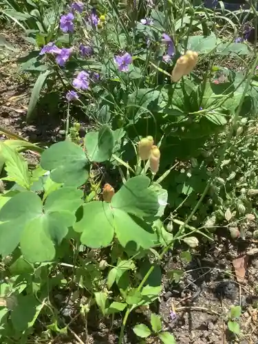 三輪神社の自然