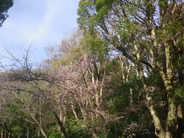 鶴岡八幡宮の自然