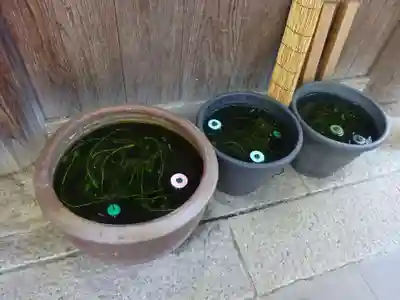 弘明寺の動物