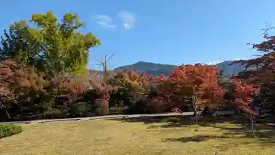 勧修寺(京都府)