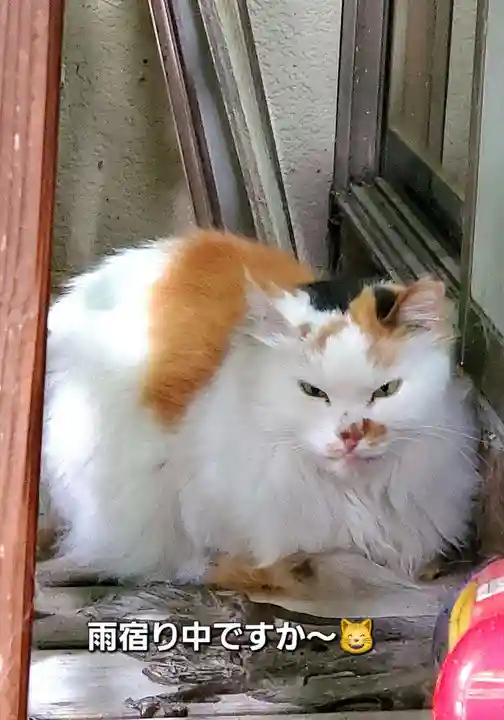 阿邪訶根神社(福島県)