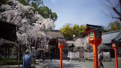 平野神社(京都府)