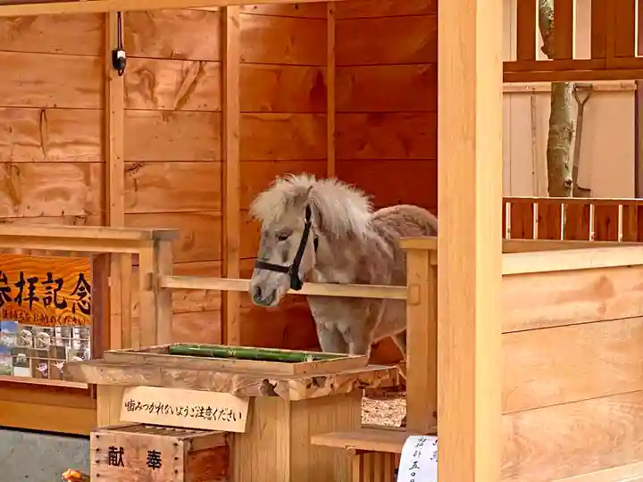平塚八幡宮の動物