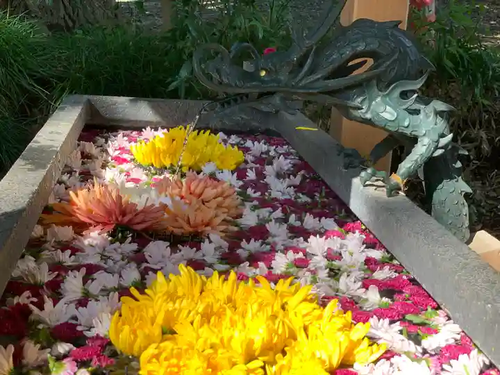 下野 星宮神社の手水舎