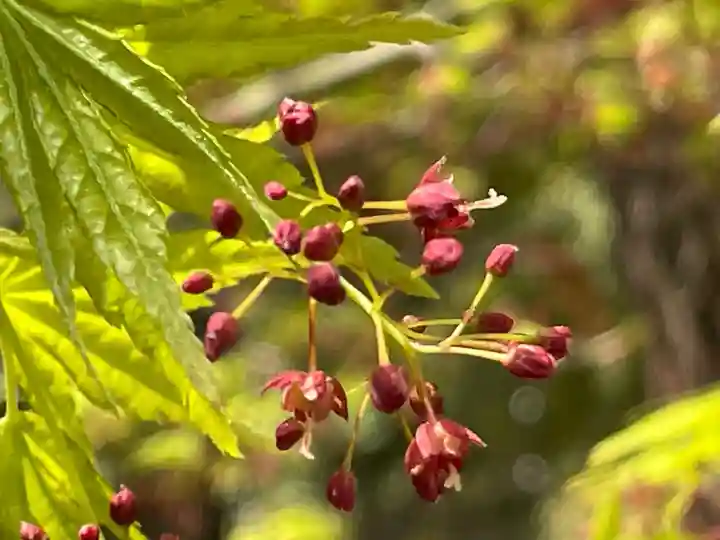 城南宮(京都府)