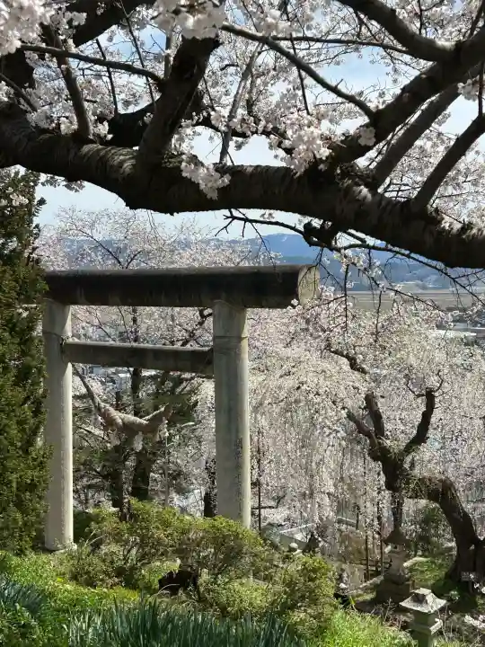 烏帽子山八幡宮の{uncategorized: "未分類", other: "その他", undefined: "問題あり", building: "その他建物", grave: "お墓", sacred_gate: "鳥居", guardian: "狛犬", statue: "像", buddha: "仏像", history: "歴史", nature: "自然", garden: "庭園", animal: "動物", pagoda: "塔", temizu: "手水舎", mountain_gate: "山門・神門", sanctuary: "本殿・本堂", subordinate: "末社・摂社", art: "芸術", scenery: "景色", jizo: "地蔵", ema: "絵馬", goshuin: "御朱印", omikuji: "おみくじ", items: "授与品その他", amulet: "お守り", goshuincho: "御朱印帳", eats: "食事", festival: "お祭り", votive_dance: "神楽", shichigosan: "七五三参", wedding: "結婚式", experience: "体験その他", initially: "初詣", around: "周辺", anti_infection: "感染症対策"}