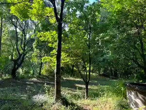 大宮温泉神社(栃木県)(2022年05月28日(土) 06時54分22秒投稿)