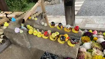 くろ谷 金戒光明寺(京都府)