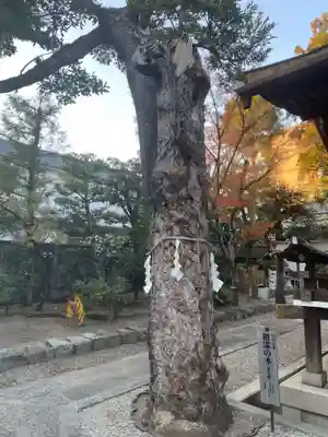 大将軍八神社(京都府)