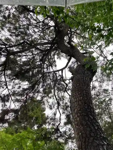 松先稲荷神社(千葉県)