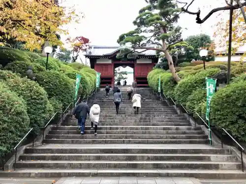 護国寺の山門