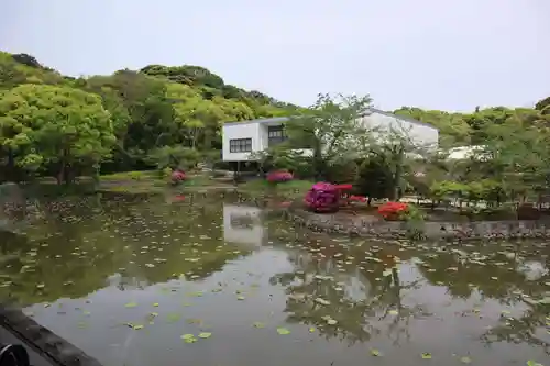 鶴岡八幡宮の景色