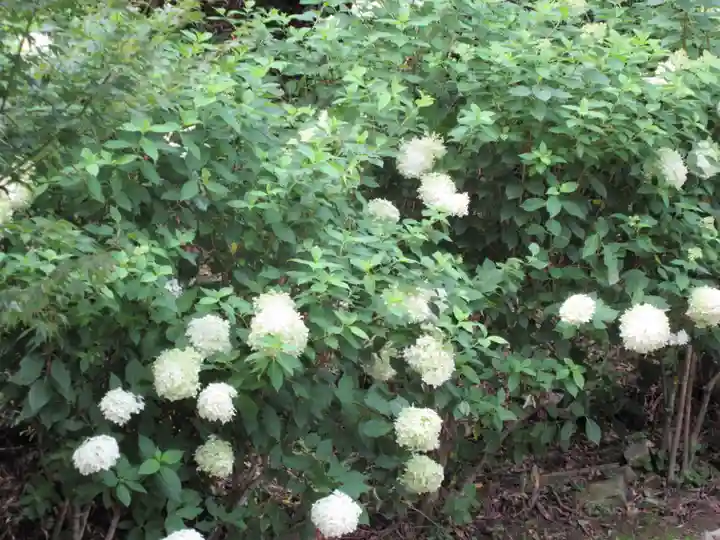 播州清水寺の自然