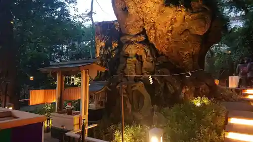 來宮神社の自然