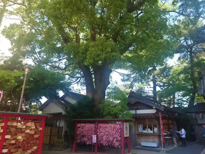 菅生神社(愛知県)