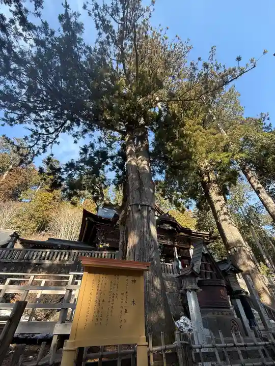 三峯神社(埼玉県)