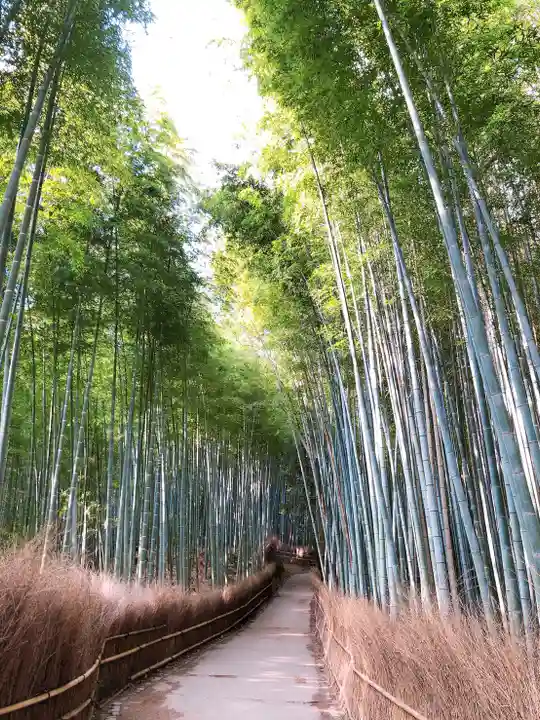 野宮神社の周辺