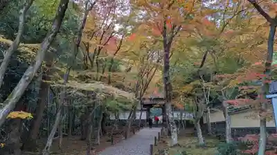 地蔵院(京都府)