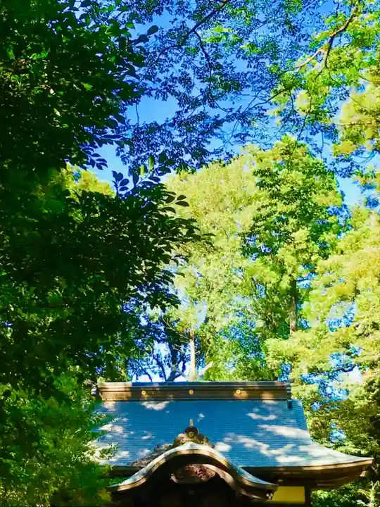 成田熊野神社のその他建物