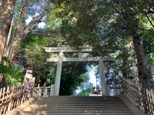 渋谷氷川神社(東京都)